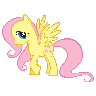 Fluttershy